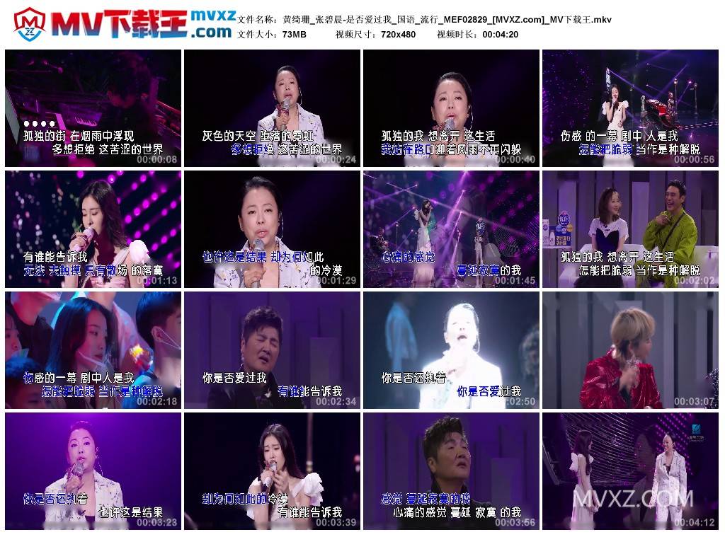 黄绮珊_张碧晨-是否爱过我_国语_流行_MEF02829